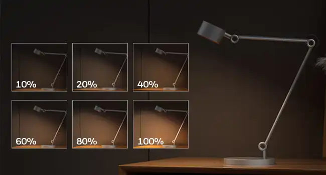 Adjustable desk lamp with brightness settings from 10% to 100%.