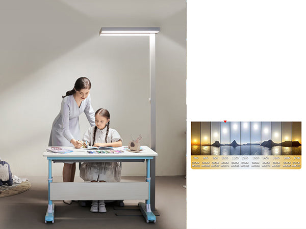 Natural Light as a Family’s Secret Weapon: How Homeowners Can Optimize Light for Mood & Productivity