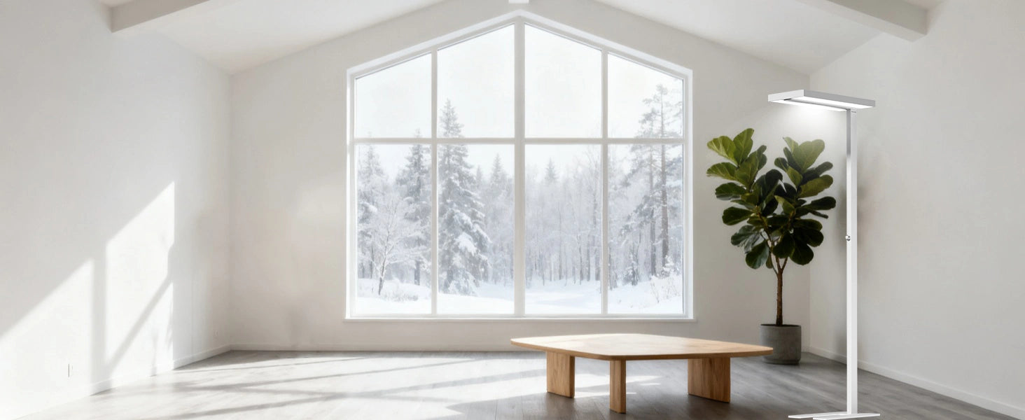 Honeywell 02E natural daylight floor lamp reducing eye strain during reading