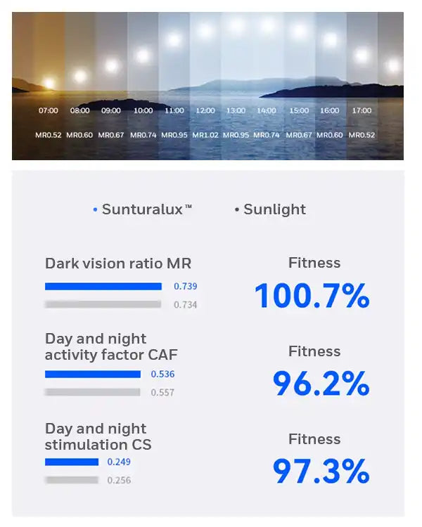 Chart showing daylight intensity levels across different times with corresponding fitness and vision ratio measurements.