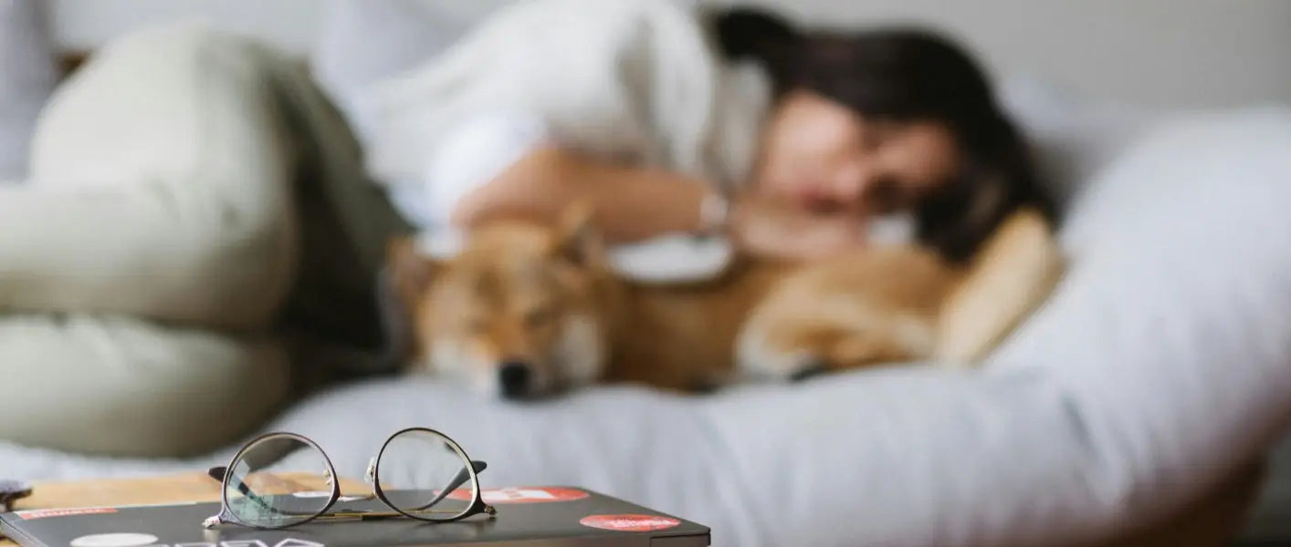 Honeywell SmartLighting LED-Leuchte im gemütlichen Wohnzimmer