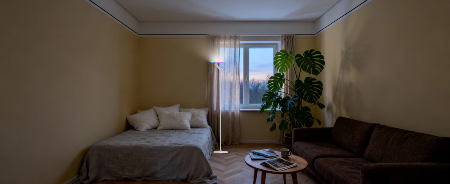 小公寓客厅配有向上投射的落地灯，营造明亮宽敞的氛围